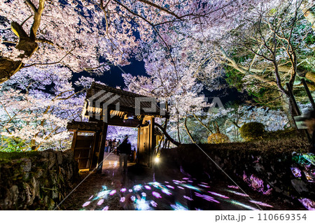 長野 高遠城址公園の夜桜　問屋門 110669354