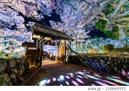 長野 高遠城址公園の夜桜　問屋門 110669355