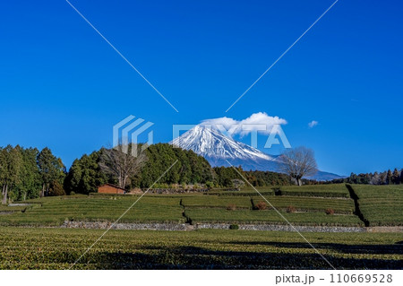 青空バックに見る富士山と広大なお茶畑の絶景 110669528