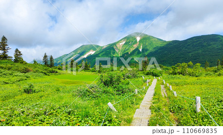 夏の火打山登山（高谷池～天狗の庭） 110669835