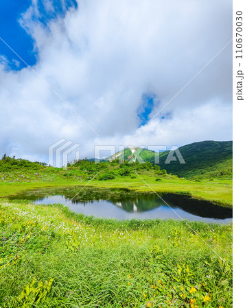 夏の火打山登山(天狗の庭) 夏の火打山登山(天狗の庭) 110670030