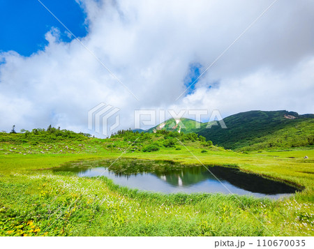 夏の火打山登山（天狗の庭） 110670035