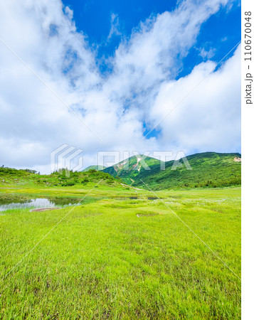 夏の火打山登山（天狗の庭） 110670048