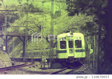 小田急2400形2480～・2456～、急行箱根湯本・江ノ島行、玉川学園前の桜、1976年4月5日 110670057