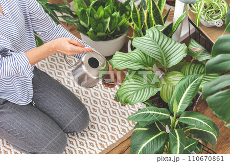 A young woman enjoys caring for flowers. Watering indoor plants and admiring them. 110670861