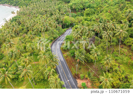 Aerial view of cars driving on highway or moterway. Overpass bridge street roads in connection network of architecture concept. Top view of forest trees. Nature landscape 110671059
