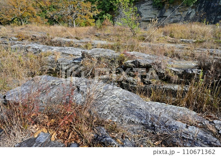 紅葉する長瀞岩畳と渓谷 110671362