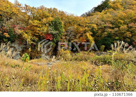 紅葉する長瀞岩畳と渓谷 110671366