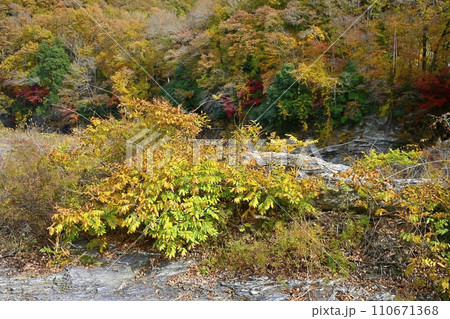 紅葉する長瀞岩畳と渓谷 紅葉する長瀞岩畳と渓谷 110671368