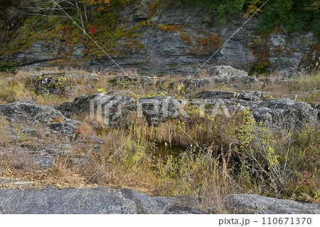 紅葉する長瀞岩畳と渓谷 紅葉する長瀞岩畳と渓谷 110671370