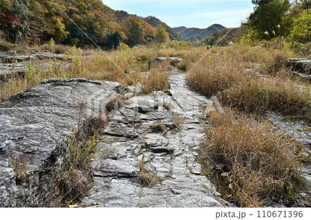 紅葉する長瀞岩畳と渓谷 110671396