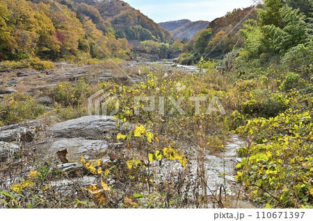 紅葉する長瀞岩畳と渓谷 110671397