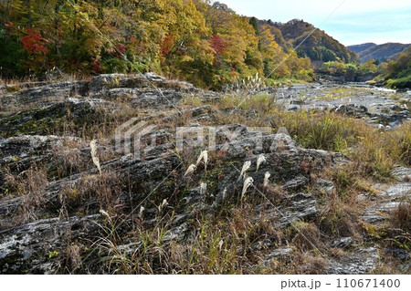 紅葉する長瀞岩畳と渓谷 紅葉する長瀞岩畳と渓谷 110671400