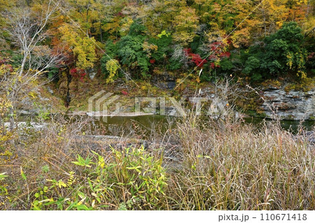 紅葉する長瀞岩畳と渓谷 紅葉する長瀞岩畳と渓谷 110671418