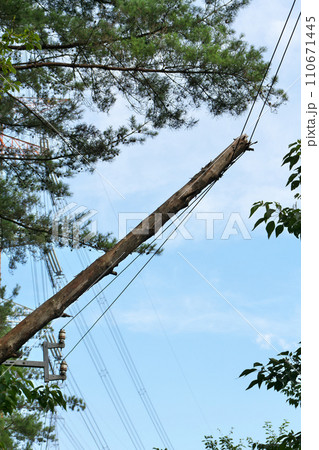 電線に引っかかった倒木 電線に引っかかった倒木 110671445