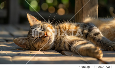 昼寝する野良猫（Generative AI） 110671581