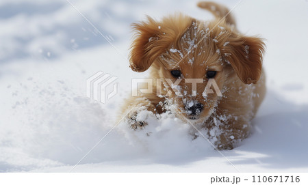 雪の中で遊ぶ子犬（Generative AI） 110671716
