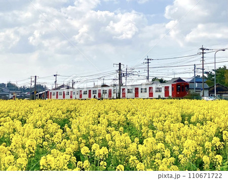 菜の花畑を走る田舎の電車 110671722