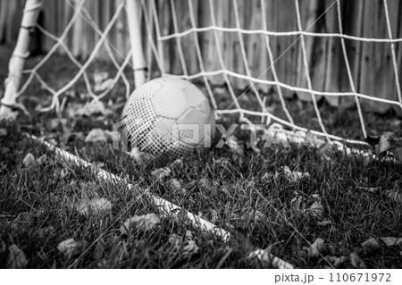 Selective focus on grass area in front of soccer ball and practice net in a fenced in backyard Selective focus on grass area in front of soccer ball and practice net in a fenced in backyard 110671972
