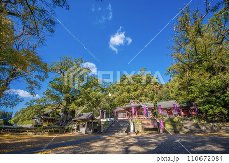 日本一の巨樹 蒲生の大クスと、蒲生八幡神社 110672084