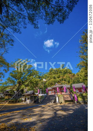 日本一の巨樹 蒲生の大クスと、蒲生八幡神社 110672086