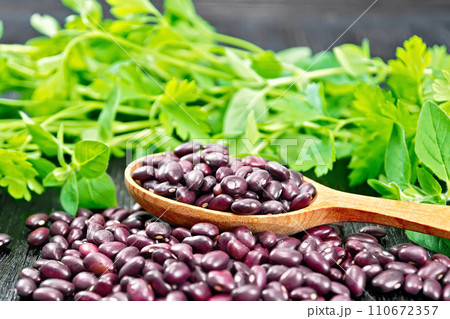 Haricot ruby in a spoon on dark board 110672357