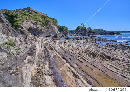 神奈川県横須賀市の荒崎海岸の荒崎潮騒のみち(弁天島方面) 110673091