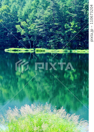 7月の御射鹿池 信州の自然 7月の御射鹿池 信州の自然 110673204