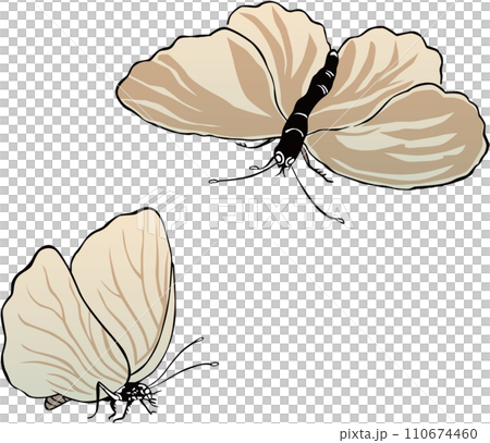 Ukiyo-e Butterfly Part 1 Ukiyo-e Butterfly Part 1 110674460