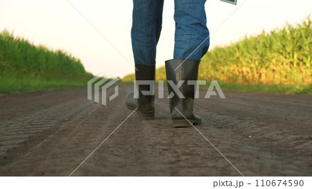 senior farmer walking along corn field rubber boots, farmer walking across field rubber boots, agriculture concept, corn production, growing corn store, selling products, farm business growing crops senior farmer walking along corn field rubber boots, farmer walking across field rubber boots, agriculture concept, corn production, growing corn store, selling products, farm business growing crops 110674590