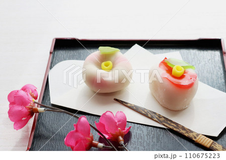 美しい冬の花の上和菓子 美しい冬の花の上和菓子 110675223