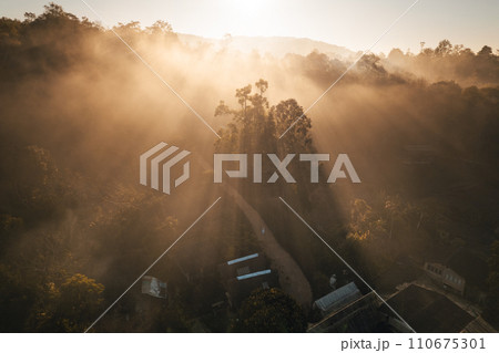 Aerial view of forest and mountain in fog with golden sunbeams at sunrise 110675301