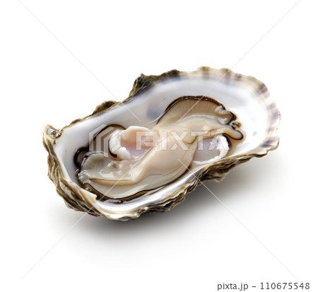 Single oyster closeup on white backgrounds.	 Single oyster closeup on white backgrounds.	 110675548