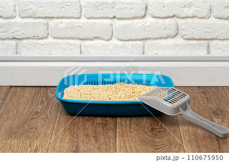Plastic cat litter box in the bathroom 110675950