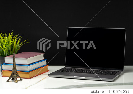 Laptop with green leafy potted plant on black background Laptop with green leafy potted plant on black background 110676057