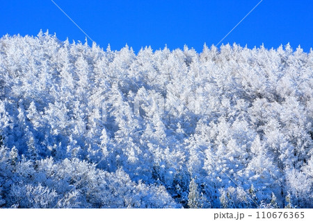 菅平高原の霧氷 110676365