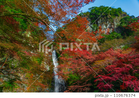 紅葉に囲まれた箕面大滝　大阪府箕面市 110676374