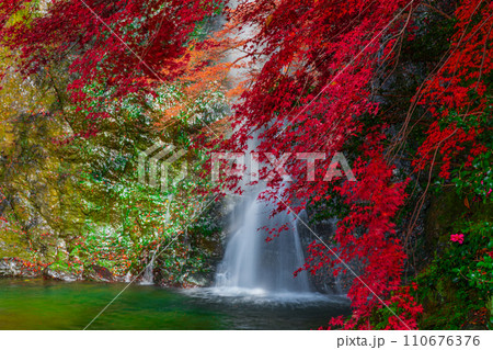 紅葉に囲まれた箕面大滝　大阪府箕面市 110676376