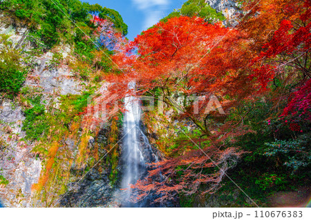 紅葉に囲まれた箕面大滝 大阪府箕面市 紅葉に囲まれた箕面大滝 大阪府箕面市 110676383