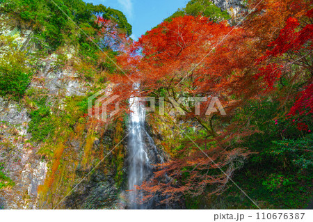 紅葉に囲まれた箕面大滝 大阪府箕面市 紅葉に囲まれた箕面大滝 大阪府箕面市 110676387