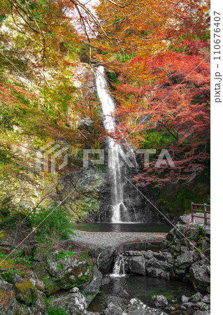 紅葉に囲まれた箕面大滝　大阪府箕面市 110676407