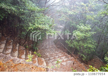 霧の中の宮島弥山登山道 110677054
