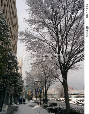 雪化粧したオフィス街の朝 雪化粧したオフィス街の朝 110677443