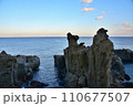 鵜戸神宮の周りの奇岩（宮崎県日南市） 110677507
