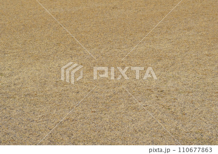 一面に広がる冬の芝生《冬枯れの芝生》 110677863