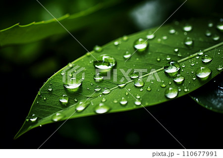 Generative AI Water drops on a green leaf 110677991