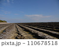 青島の「鬼の洗濯板」の風景（宮崎県） 110678518