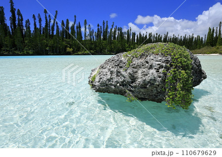 ニューカレドニアのイル・デ・パン 110679629