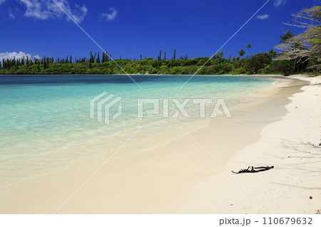 ニューカレドニアのイル・デ・パン 110679632