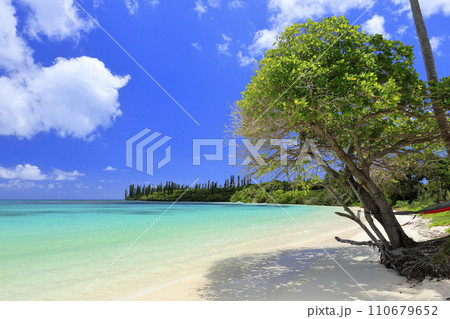 ニューカレドニアのイル・デ・パン 110679652